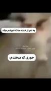 یاع یاع ـــــــــــــــــــــــــــــ🤣
