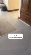 نام اثر : کیوت ترین سرقت دنیا🥹