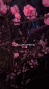 آره خلاصه دخترای قشنگم>>>🥹🩷🌷