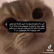 خوشگلههههههههههههههههههههههههه