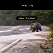 🚫🐻.‌‌‌‌‌‌‌‌‌‌‌‌‌‌‌‌‌‌‌‌‌‌‌‌‌‌‌
