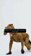یک استی کاملا یک گروه نرمال را آستن مینوماید