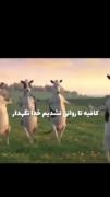  عضو هشتم بی تی اس🗿🎀‌‌‌‌‌‌‌‌‌‌‌