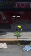بعضی وقتا............. .......‌(: