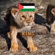 زیبا بود. 🇮🇷