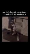 -هــمیشه هرچی قلبتون میگه همون رو انجام بدید:...