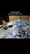 بهترین پتـــوی دنیـــا ، ضد بی خوابی ، ضد استرس👌🏻