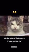 -با قیافــــم چیکار کنم 🎀🤣......