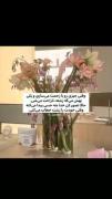 تو خوشگلی؛ تو عالیی! تو همه چی تمومی!!