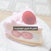 ------------------------------