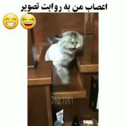 این منم موقع امتحانات و کنکور 😂💔✨️