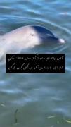 خیلی حق🥹>>>>>>>>>>>>>>>>>>>>>>