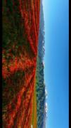 اگه نمی‌تونی کارای بزرگ انجام بدی، کارای کوچک را به شکل بزرگ انجام ب