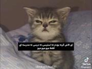 پیسییییی............ میومیو😽😽