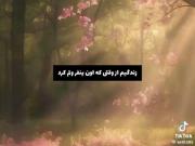🌸💆🏻‍♀️✨ ᯏ 🐈‍⬛ • @Fantezihi ִֶָ