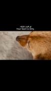 تو قلب کثیفه عزیزمم🤦🏻‍♀️ ᯏ 🐈‍⬛ • ִֶָ