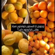 چجوری از تابستون خوشتون نمیاد وقتی اینا هست ؟؟؟؟