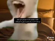 ویدئو تیک تاکی :: رندوم ترین کارای من