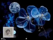 !blue baby my heart belongs to you