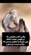 امیدوارم درکش کرده باشین ...🤣🤣🤣✨🎀🔪