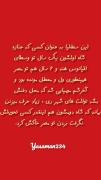 خلاصه که سطلیا زیادی حرف می زنن