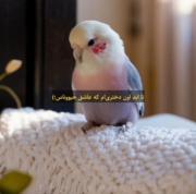 و من همیشه اون دختری میمونم که...☆