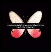 More content on the channel تو چَنِلِمون آبی شُ𐙚