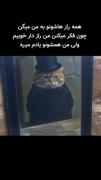 وضعیت حافظه اممممممم😂😂😂😂😂