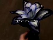 همیشه این باید یادت باشه همه جا توی ذهنت باشه/(^-^)\