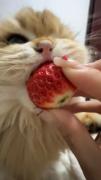 😺.. ‌‌ ‌‌ ‌‌ ‌‌ ‌‌ ‌‌ ‌‌ ‌‌ ‌‌