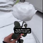 منم حاظرم خیلی خوشگله واااااااای🙃🙃
